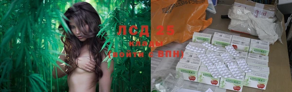 прущие крисы Горно-Алтайск