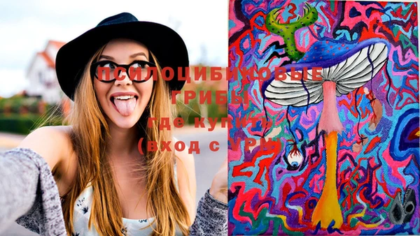 прущие крисы Горно-Алтайск